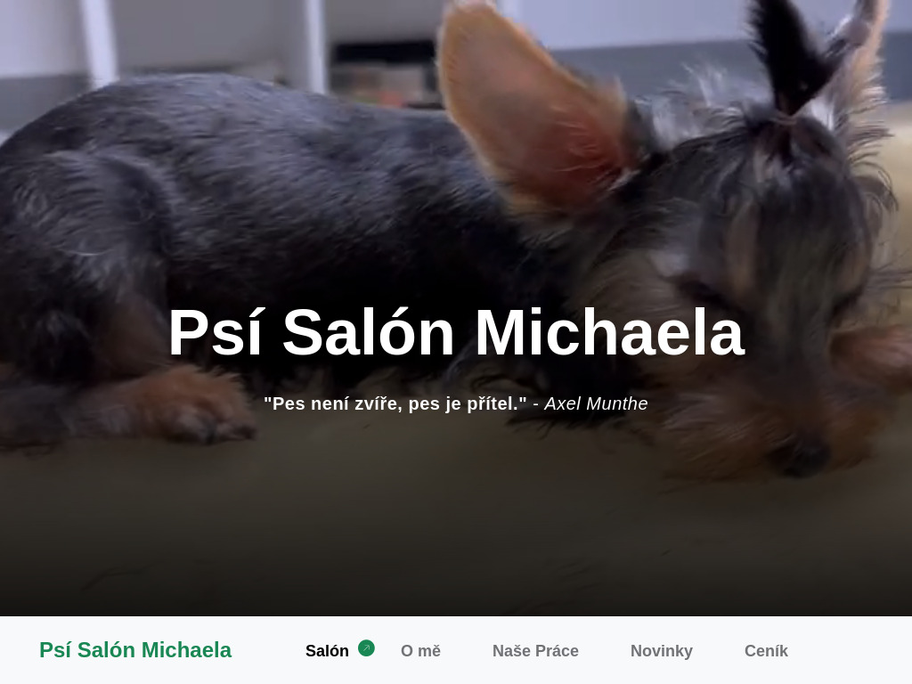 Webdesign reference: Profesionální web pro salón, který se stará o psi a kočky.